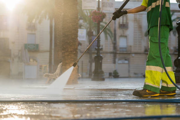 Best Residential House Exterior Washing  in Estherville, IA