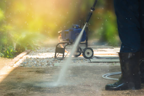 Best Gutter Cleaning  in Estherville, IA